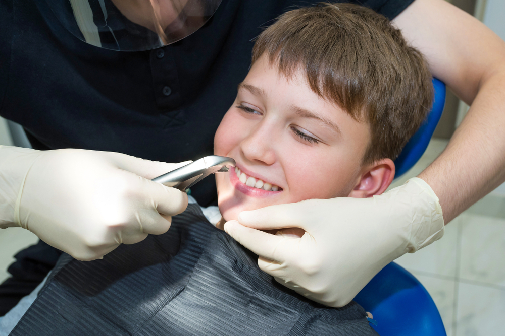 a,child,patients,portrait,and,a,child,dentists,hands,with