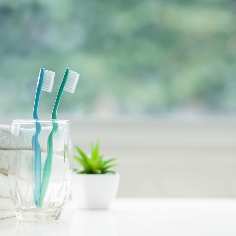 Two toothbrushes in glass, potted plant nearby.