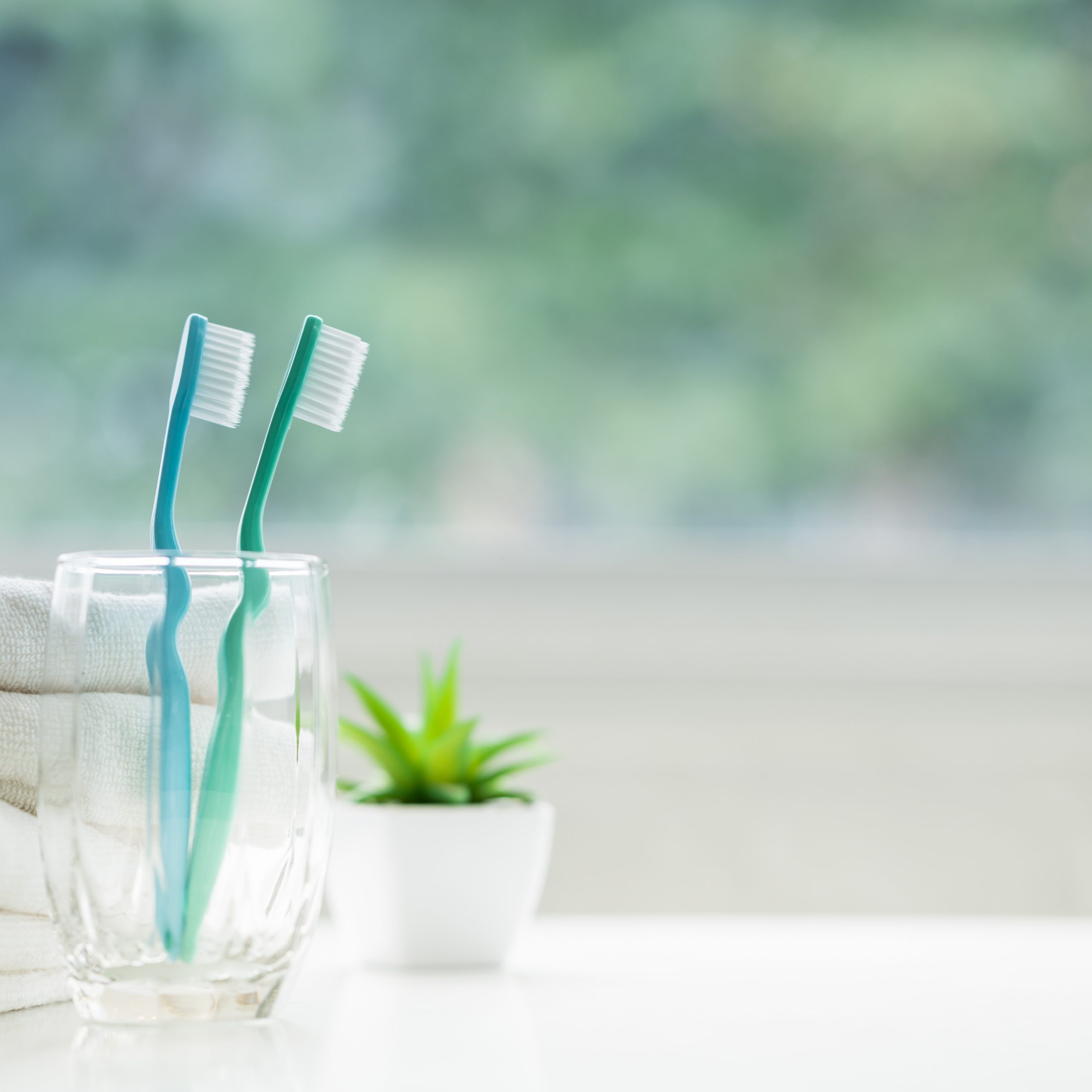 Two toothbrushes in glass, potted plant nearby.